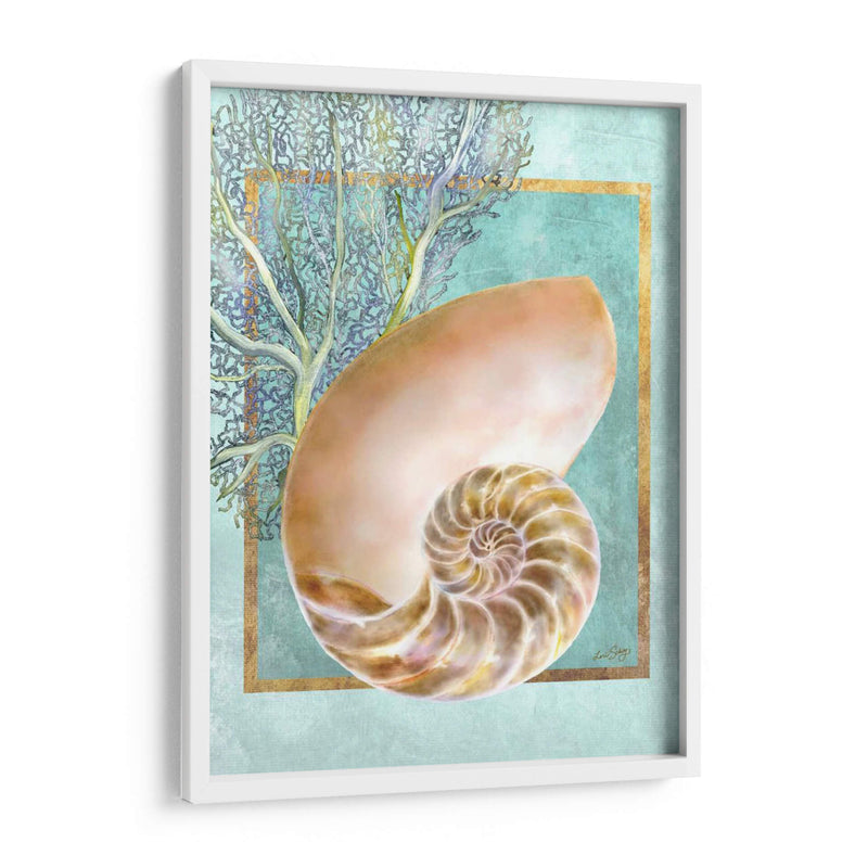 Nautilus Shell Y Coral - Lori Schory | Cuadro decorativo de Canvas Lab