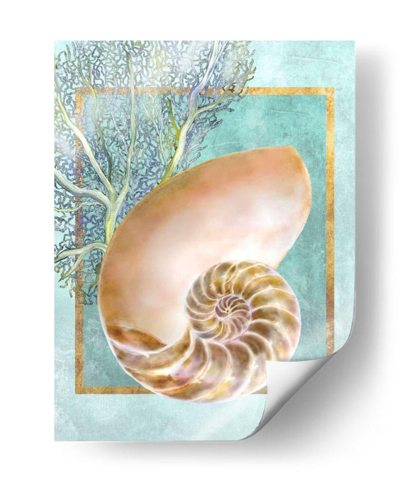 Nautilus Shell Y Coral - Lori Schory | Cuadro decorativo de Canvas Lab