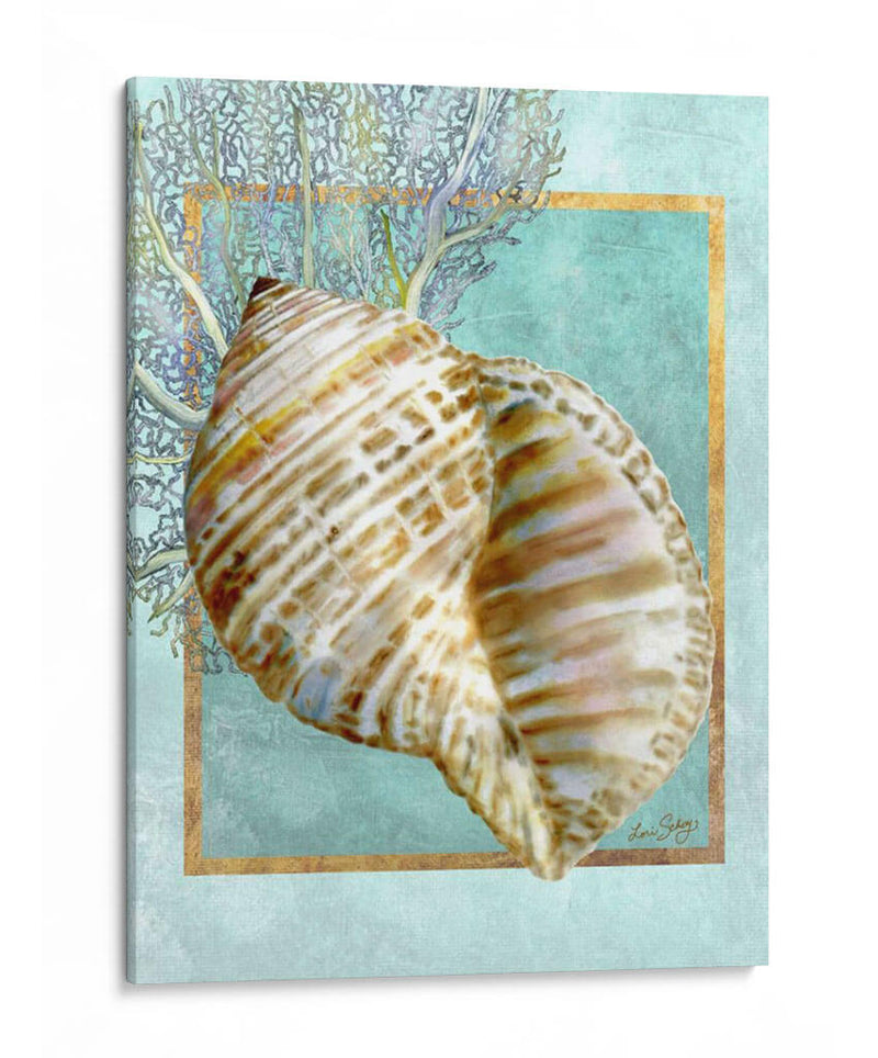 Turban Shell Y Coral - Lori Schory | Cuadro decorativo de Canvas Lab