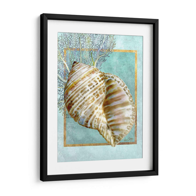 Turban Shell Y Coral - Lori Schory | Cuadro decorativo de Canvas Lab