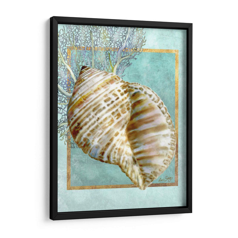 Turban Shell Y Coral - Lori Schory | Cuadro decorativo de Canvas Lab