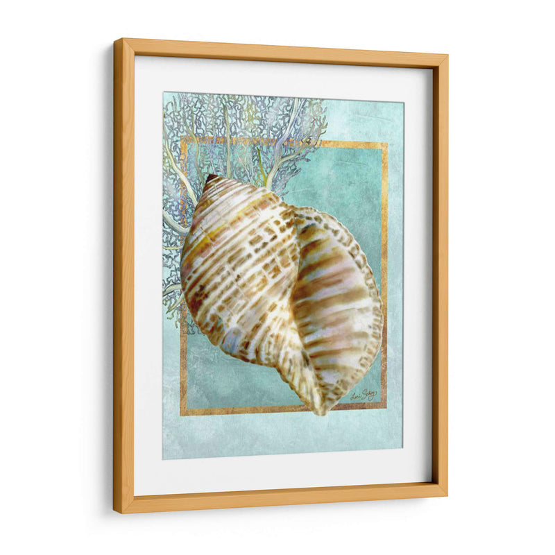 Turban Shell Y Coral - Lori Schory | Cuadro decorativo de Canvas Lab