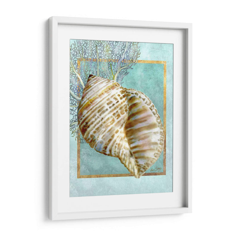 Turban Shell Y Coral - Lori Schory | Cuadro decorativo de Canvas Lab