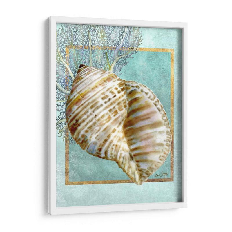 Turban Shell Y Coral - Lori Schory | Cuadro decorativo de Canvas Lab