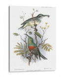 Pájaros En La Naturaleza I - J.C. Keulemans | Cuadro decorativo de Canvas Lab