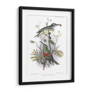 Pájaros En La Naturaleza I - J.C. Keulemans | Cuadro decorativo de Canvas Lab