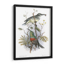 Pájaros En La Naturaleza I - J.C. Keulemans | Cuadro decorativo de Canvas Lab