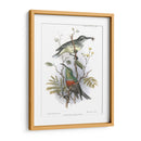 Pájaros En La Naturaleza I - J.C. Keulemans | Cuadro decorativo de Canvas Lab