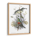 Pájaros En La Naturaleza I - J.C. Keulemans | Cuadro decorativo de Canvas Lab
