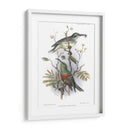 Pájaros En La Naturaleza I - J.C. Keulemans | Cuadro decorativo de Canvas Lab
