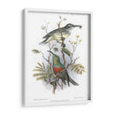 Pájaros En La Naturaleza I - J.C. Keulemans | Cuadro decorativo de Canvas Lab