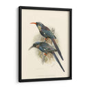Pájaros En La Naturaleza Iii - J.C. Keulemans | Cuadro decorativo de Canvas Lab