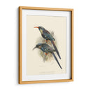 Pájaros En La Naturaleza Iii - J.C. Keulemans | Cuadro decorativo de Canvas Lab