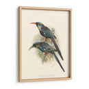 Pájaros En La Naturaleza Iii - J.C. Keulemans | Cuadro decorativo de Canvas Lab