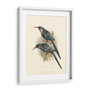 Pájaros En La Naturaleza Iii - J.C. Keulemans | Cuadro decorativo de Canvas Lab