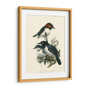 Pájaros En La Naturaleza Iv - J.C. Keulemans | Cuadro decorativo de Canvas Lab