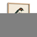 Pájaros En La Naturaleza Iv - J.C. Keulemans | Cuadro decorativo de Canvas Lab