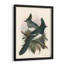 Pájaros En La Naturaleza V - J.C. Keulemans | Cuadro decorativo de Canvas Lab