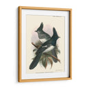 Pájaros En La Naturaleza V - J.C. Keulemans | Cuadro decorativo de Canvas Lab