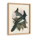 Pájaros En La Naturaleza V - J.C. Keulemans | Cuadro decorativo de Canvas Lab