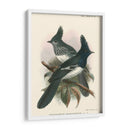 Pájaros En La Naturaleza V - J.C. Keulemans | Cuadro decorativo de Canvas Lab