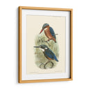 Pájaros En La Naturaleza Vi - J.C. Keulemans | Cuadro decorativo de Canvas Lab