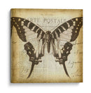 Carta Postale Butterfly I - Jennifer Goldberger | Cuadro decorativo de Canvas Lab