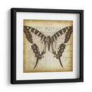 Carta Postale Butterfly I - Jennifer Goldberger | Cuadro decorativo de Canvas Lab