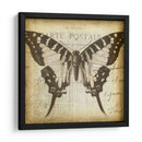 Carta Postale Butterfly I - Jennifer Goldberger | Cuadro decorativo de Canvas Lab