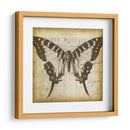 Carta Postale Butterfly I - Jennifer Goldberger | Cuadro decorativo de Canvas Lab