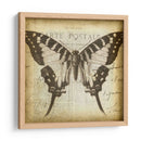 Carta Postale Butterfly I - Jennifer Goldberger | Cuadro decorativo de Canvas Lab