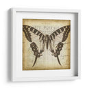 Carta Postale Butterfly I - Jennifer Goldberger | Cuadro decorativo de Canvas Lab
