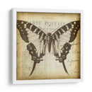 Carta Postale Butterfly I - Jennifer Goldberger | Cuadro decorativo de Canvas Lab