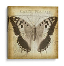 Carta Postale Butterfly Ii - Jennifer Goldberger | Cuadro decorativo de Canvas Lab