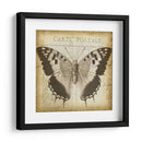 Carta Postale Butterfly Ii - Jennifer Goldberger | Cuadro decorativo de Canvas Lab