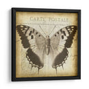 Carta Postale Butterfly Ii - Jennifer Goldberger | Cuadro decorativo de Canvas Lab