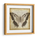 Carta Postale Butterfly Ii - Jennifer Goldberger | Cuadro decorativo de Canvas Lab