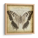 Carta Postale Butterfly Ii - Jennifer Goldberger | Cuadro decorativo de Canvas Lab