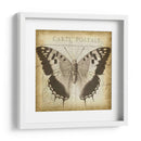 Carta Postale Butterfly Ii - Jennifer Goldberger | Cuadro decorativo de Canvas Lab