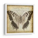 Carta Postale Butterfly Ii - Jennifer Goldberger | Cuadro decorativo de Canvas Lab