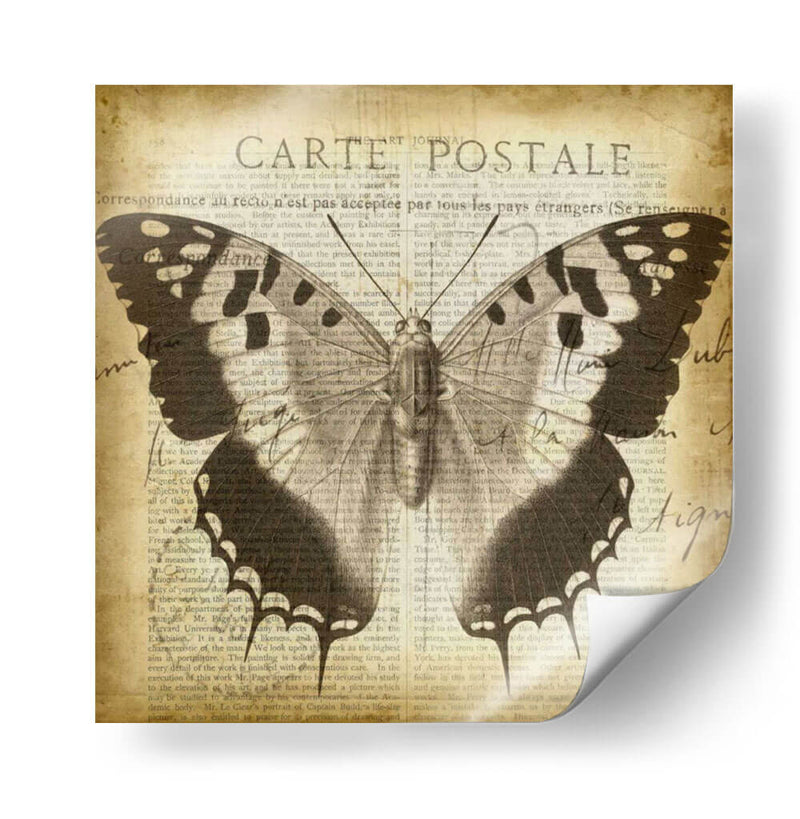 Carta Postale Butterfly Ii - Jennifer Goldberger | Cuadro decorativo de Canvas Lab