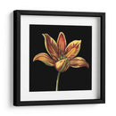 Belleza Natural En Negro Ii - Vision Studio | Cuadro decorativo de Canvas Lab