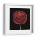 Belleza Natural En Negro Iii - Vision Studio | Cuadro decorativo de Canvas Lab