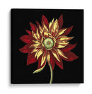 Belleza Natural En Negro V - Vision Studio | Cuadro decorativo de Canvas Lab