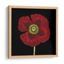 Belleza Natural En Negro Vi - Vision Studio | Cuadro decorativo de Canvas Lab