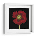 Belleza Natural En Negro Vi - Vision Studio | Cuadro decorativo de Canvas Lab