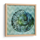 Chevron Shell Ii - Vision Studio | Cuadro decorativo de Canvas Lab
