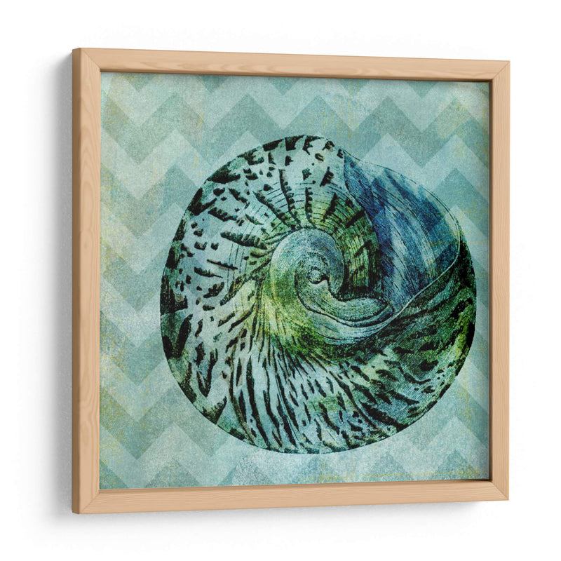 Chevron Shell Ii - Vision Studio | Cuadro decorativo de Canvas Lab