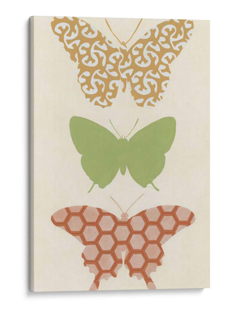 Patrones De Mariposa Iii - June Erica Vess | Cuadro decorativo de Canvas Lab