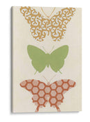 Patrones De Mariposa Iii - June Erica Vess | Cuadro decorativo de Canvas Lab